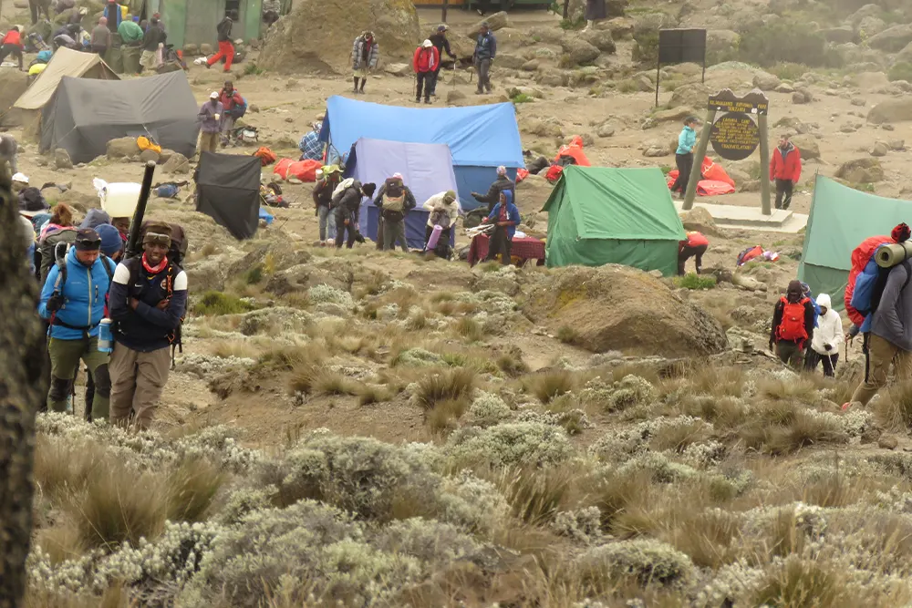 Karanga Campsite kilimanjaro
